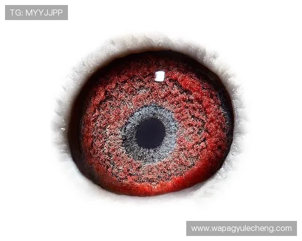 AG国际馆直营网平台最新安全保障措施全面解析,保障玩家资金与信息安全